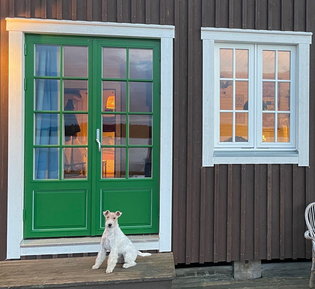 Gammaldags grön altandörr SW17 panel m spegel fast allmoge spröjs Gammaldags grön altandörr SW17 panel m spegel fast allmoge spröjs